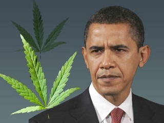 obama_pot_090326_mn-thumb-350x262.jpg