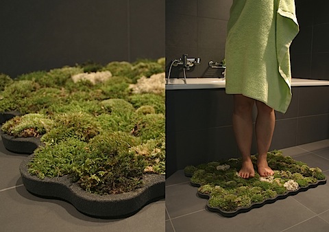 moss-carpet.jpg