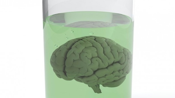 Brain in jar via Shutterstock 615x345