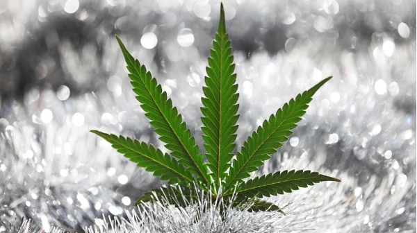 Marijuanaleaf shutterstock