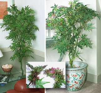 Fake Pot Plants