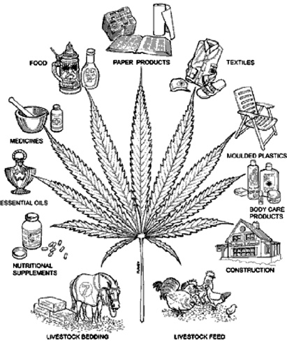 Marijuana Sql