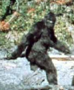 Patterson Bigfoot