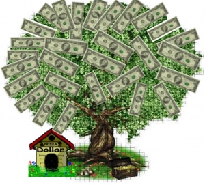 Money Tree5