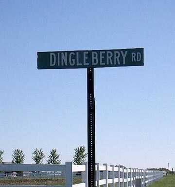 dingle-berry.jpg